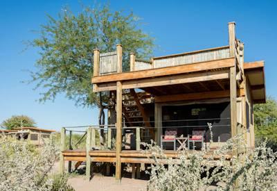 Kalahari Plains offers star beds