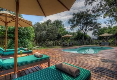 Swimming pool surrounded by a myriad of birds plants and animals