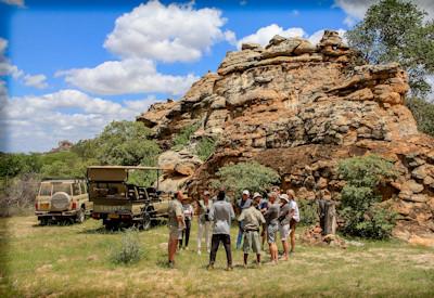 Safari options in the Northern Tuli region