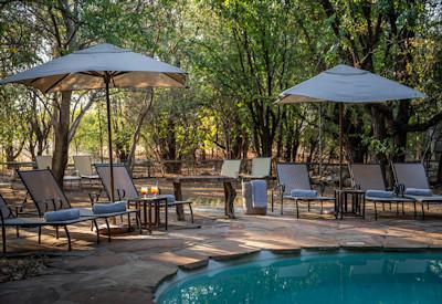 Swiming pool with sun loungers