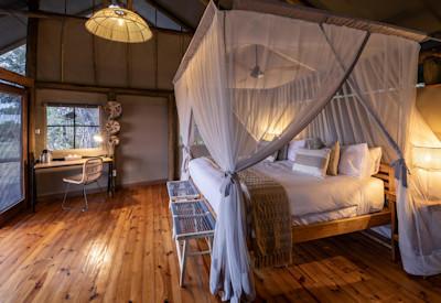 Game drives and water based activities