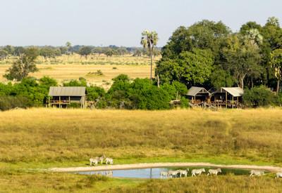 View all the okavango predators