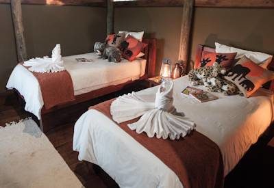 Classic and rustic safari suites