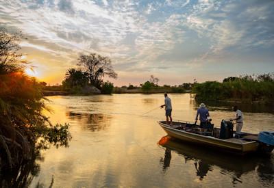 Tiger fishing in the Okavango Delta