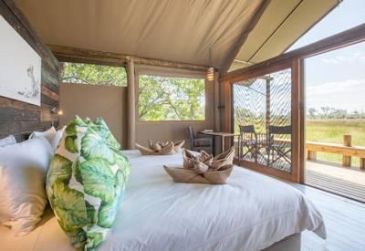 Safari suites