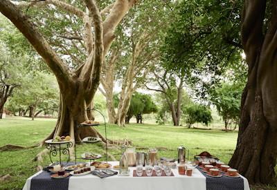 Lunch served on manicured lawns