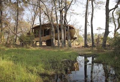 Exquisite raised safari suites