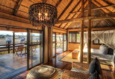 Large safari suites