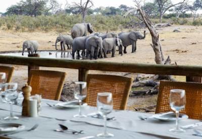 Savute wildlife in front of lodge