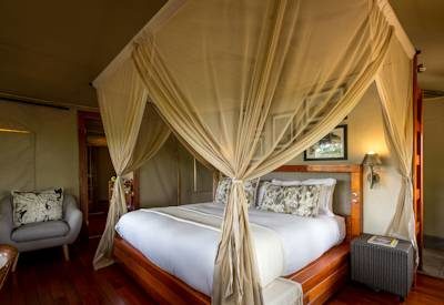 Tented suites and bedrooms