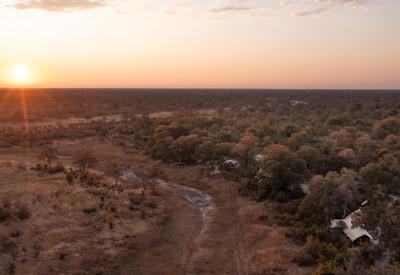 Experience botswana's extraordinary wildlife