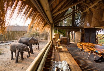 Elephants and very spacious inner floorspace