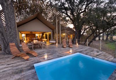 Private swimming pool surrounded by ebony trees