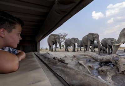 Khwai borders the Moremi Game Reserve