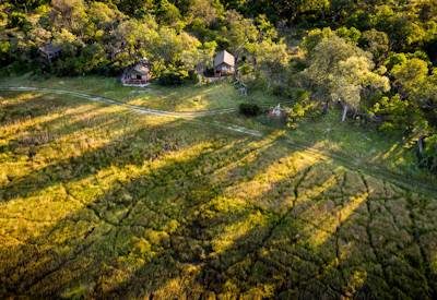 Camp located in the wild Okavango