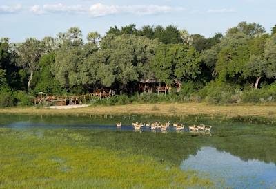 Tubu Tree Camp in the Jao Reserve