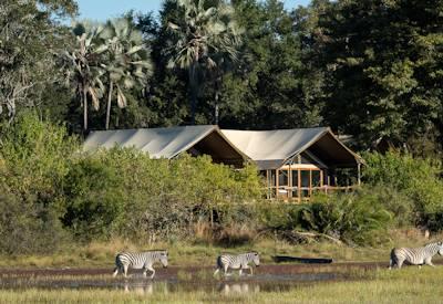 Tree camp offers views and wildlife