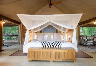 Luxurious tented suites