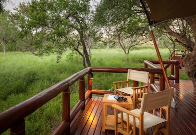 Looking out in to the wilds of the Mashatu Game Reserve
