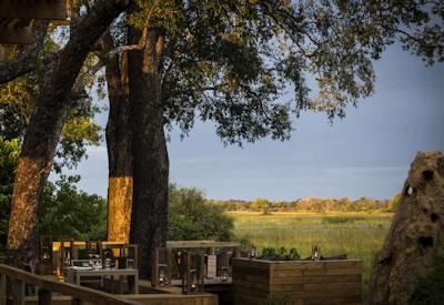 Okavango Delta views surround