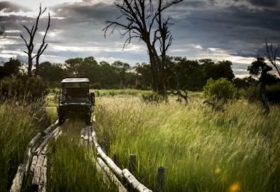 The best Okavango safari experiences