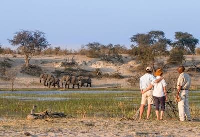 Best Botswana Fly In Safari