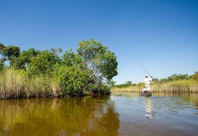 Okavango Delta