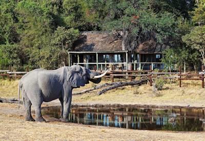 Savute Safari Lodge