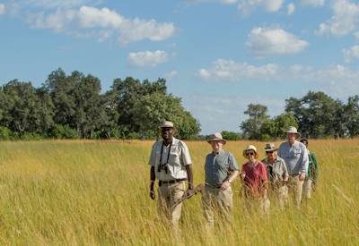Walking safari