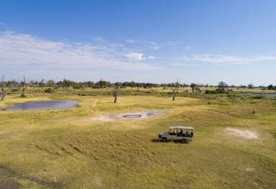 Botswana game drives