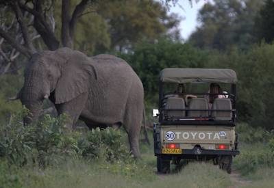 Botswana Blooming Desert Safari