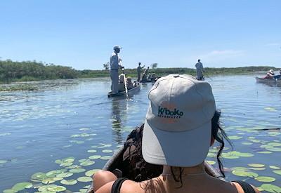 Adventure safaris
