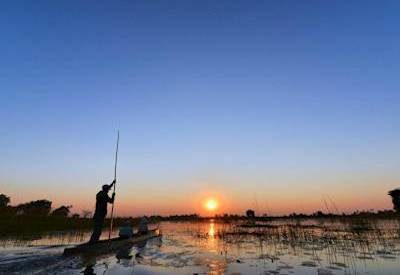 Botswana Delta and Moremi