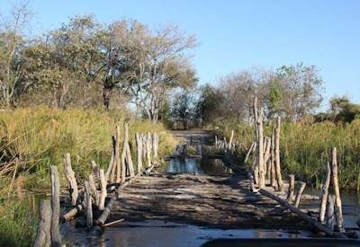 Moremi Game Reserve
