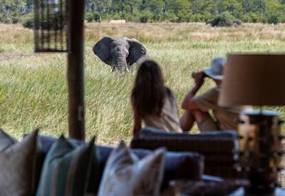 Okavango Wildlife