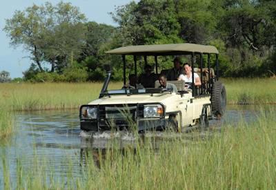 Okavango Delta game drive