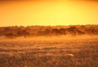Botswana Kalahari Safari
