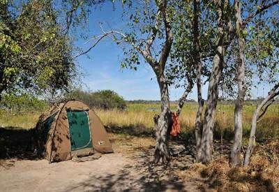 The Wildside of the Okavango