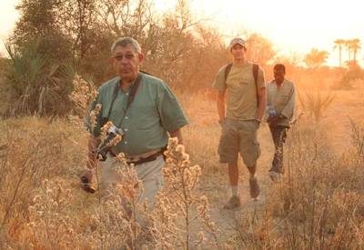 Walking safaris