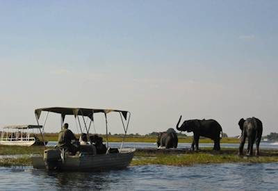 Botswana Wildside Safari
