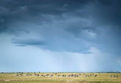 The green Kalahari