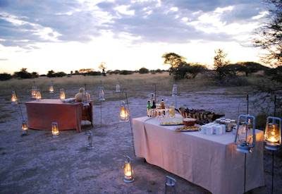 Dining in the Moremi
