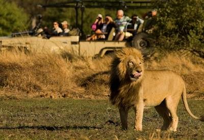 Highlights Of Northern Botswana