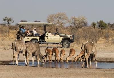 Highlights of Botswana Safari