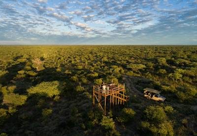 Highlights of Botswana Safari