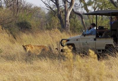Game drives in 4x4