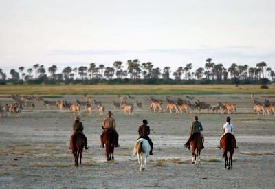 Camp Kalahari