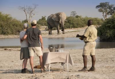 Botswana and Savuti wildlife