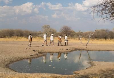 Kalahari walking trips
