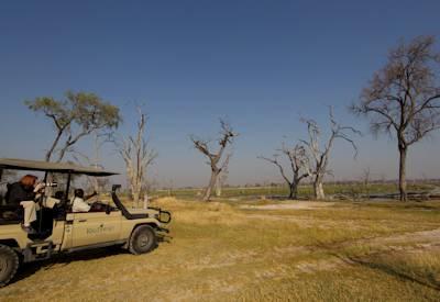Northern Okavango game drive